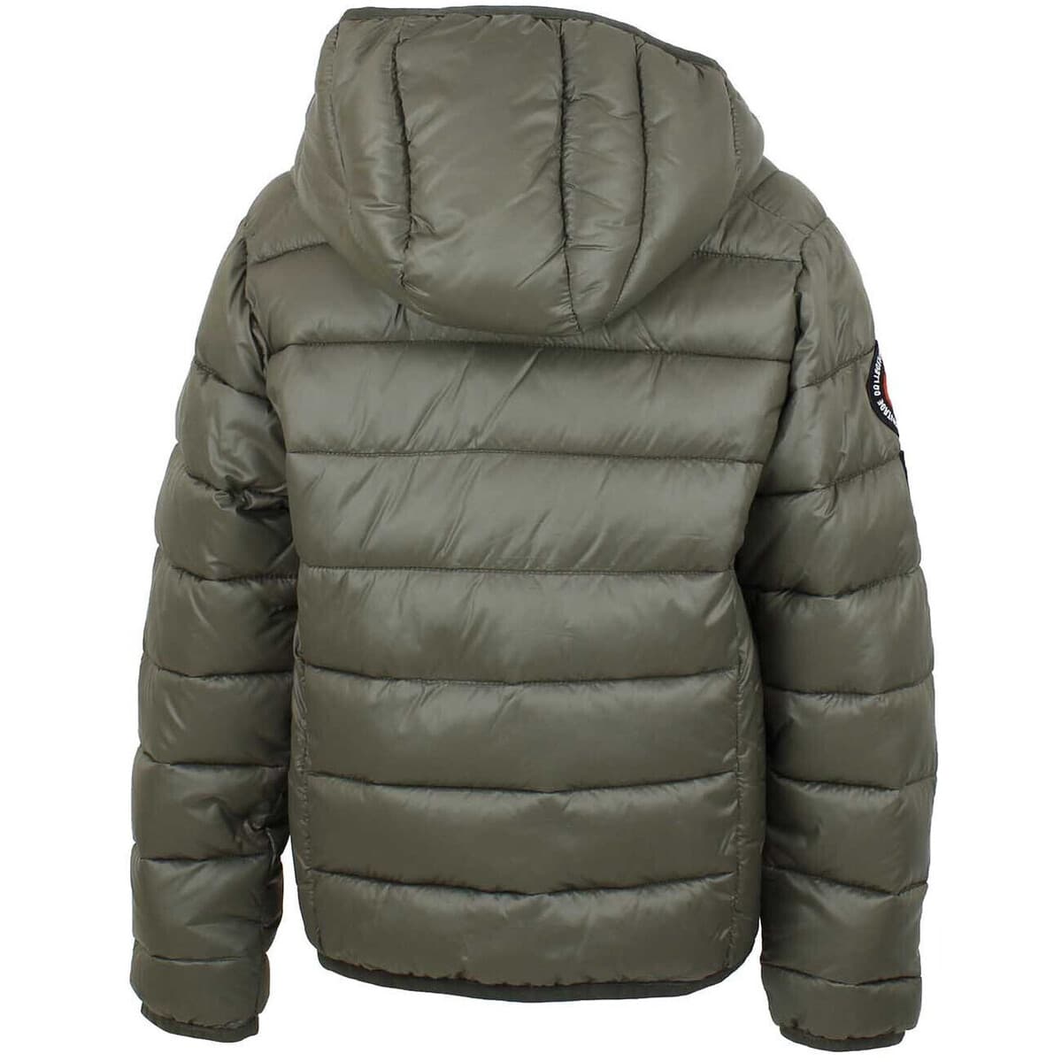 Boys' Jackets Harry Kayn Khaki