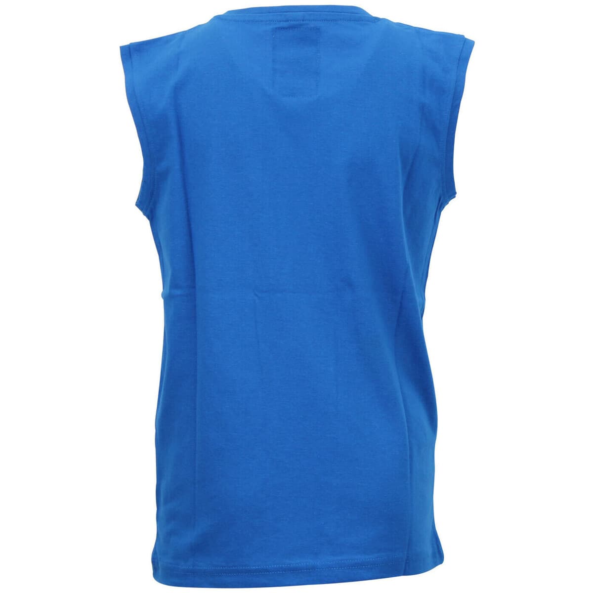 Boys' T-Shirts Srk Blue
