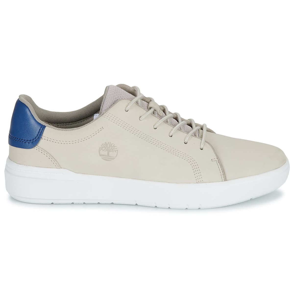 Men's Sneakers Timberland Gray