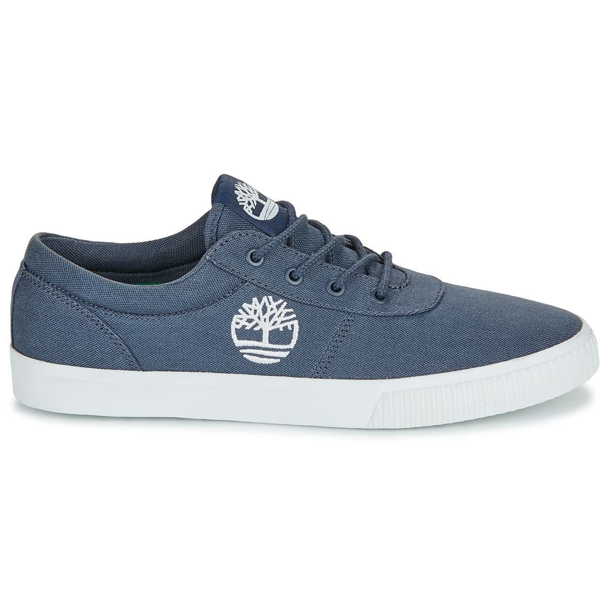 Men's Sneakers Timberland Blue