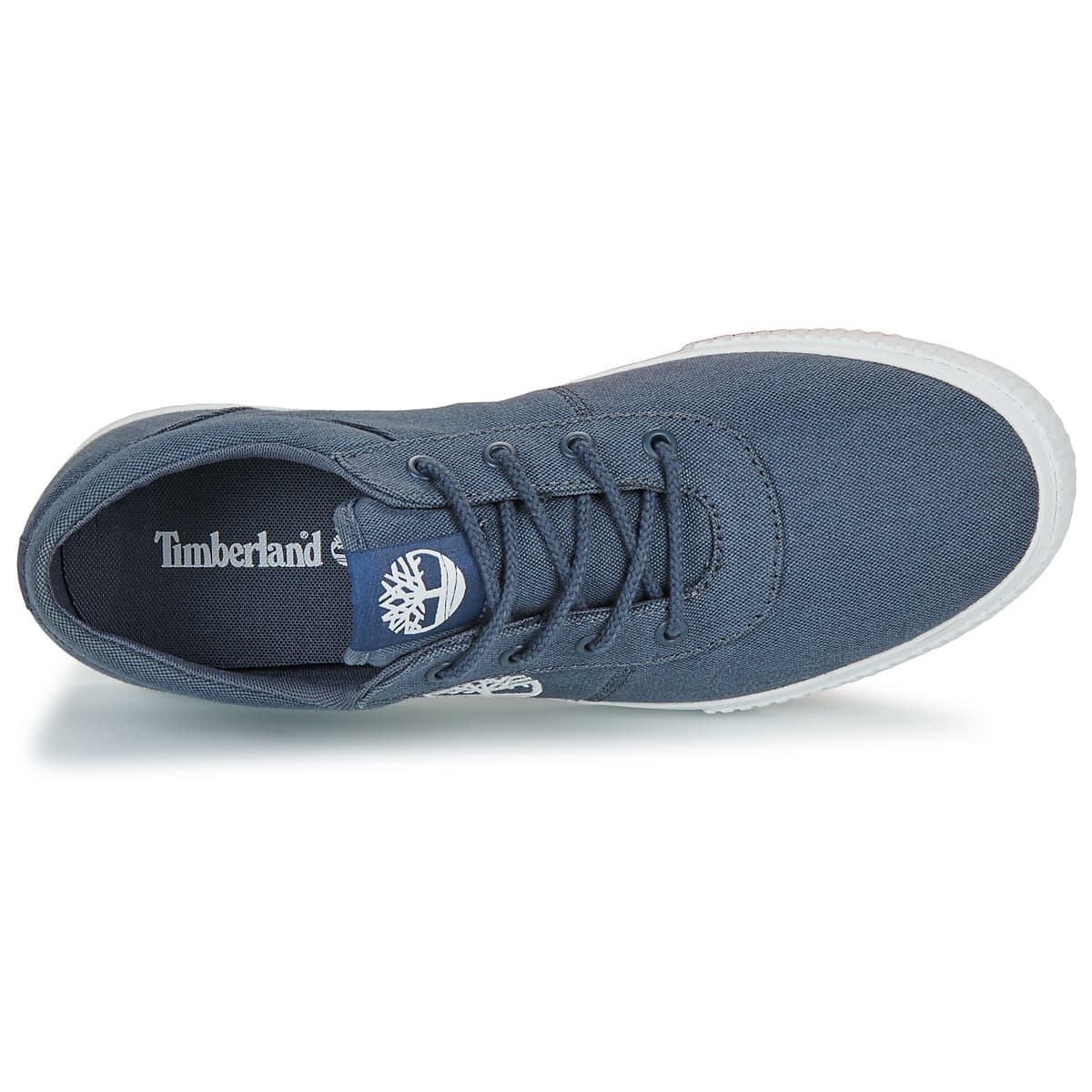 Men's Sneakers Timberland Blue