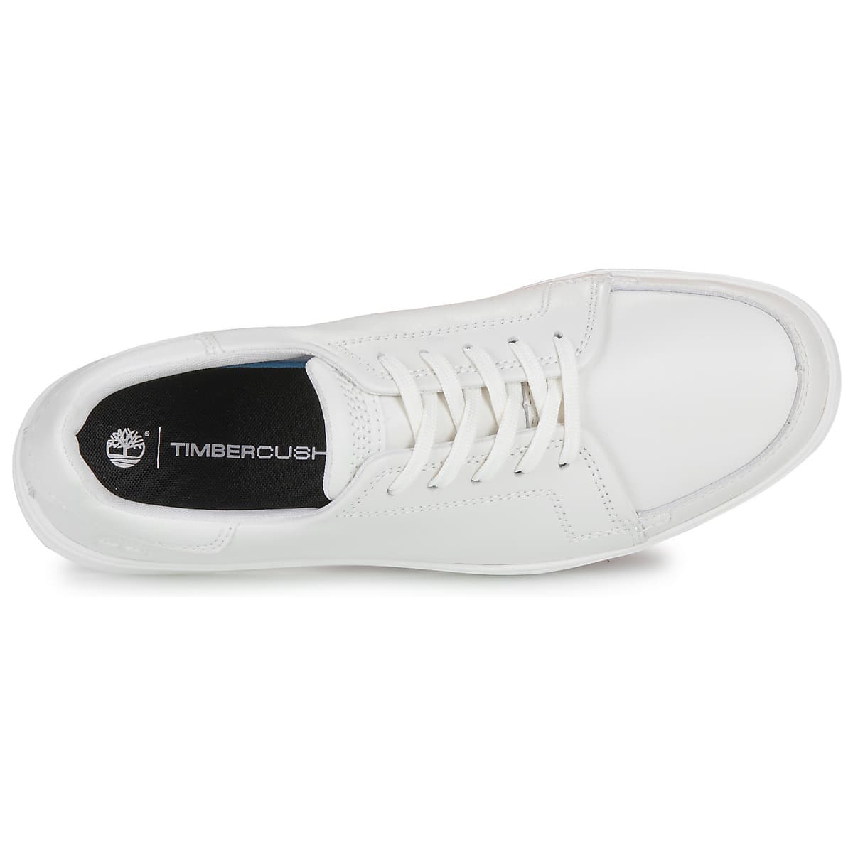 Men's Sneakers Timberland White