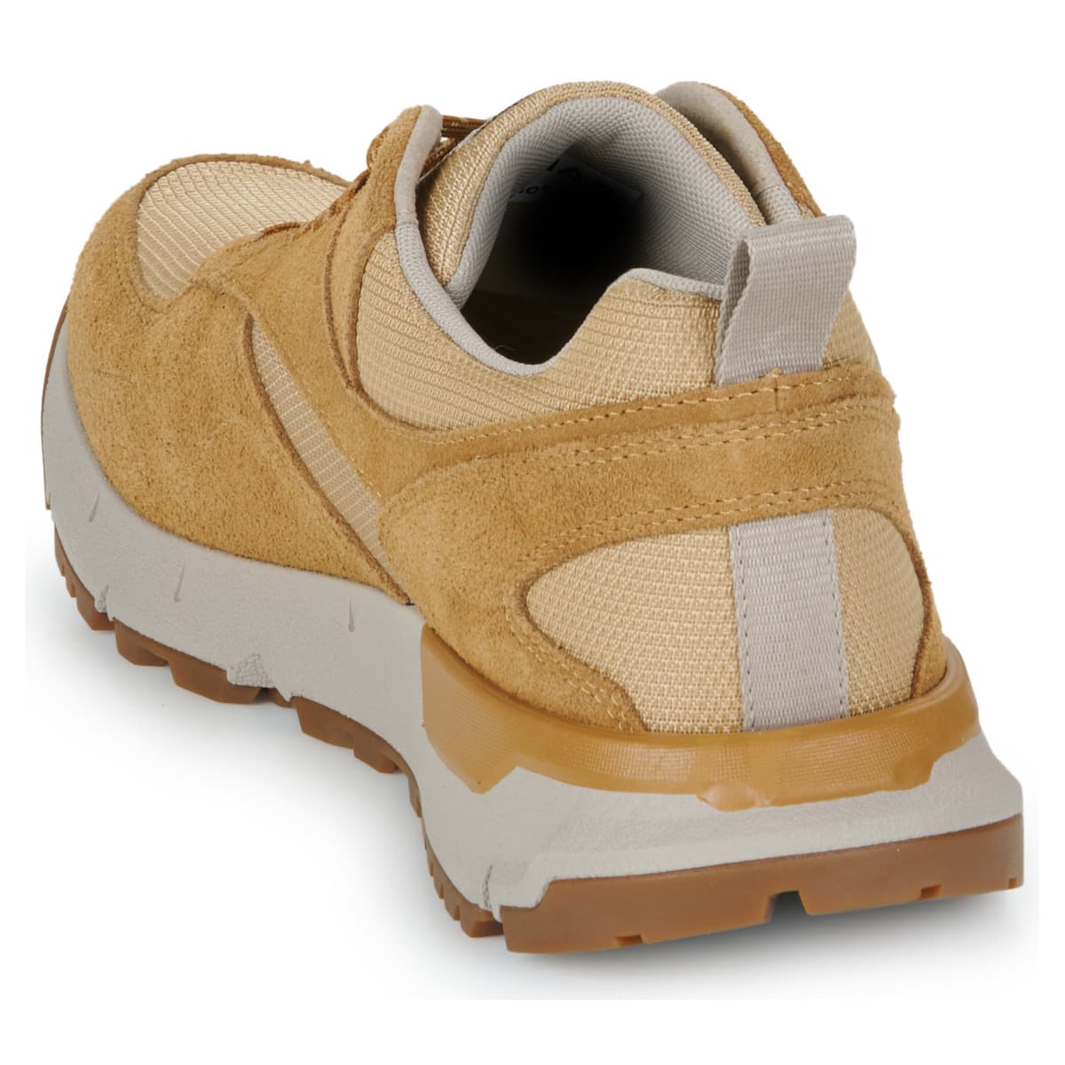 Men's Sneakers Timberland Brown