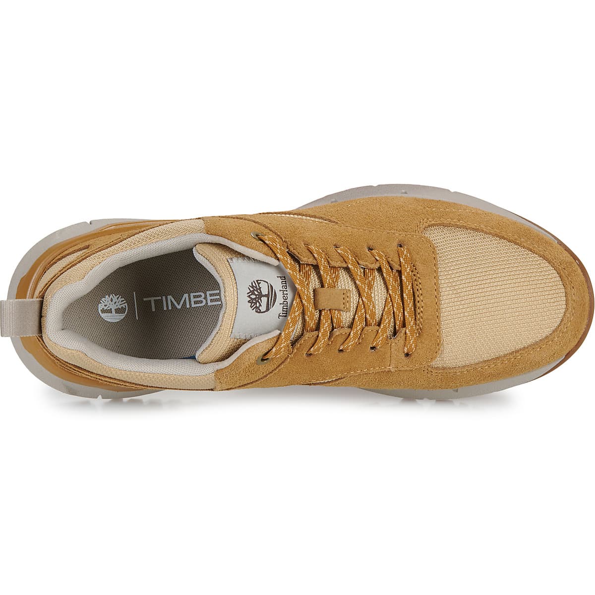 Men's Sneakers Timberland Brown