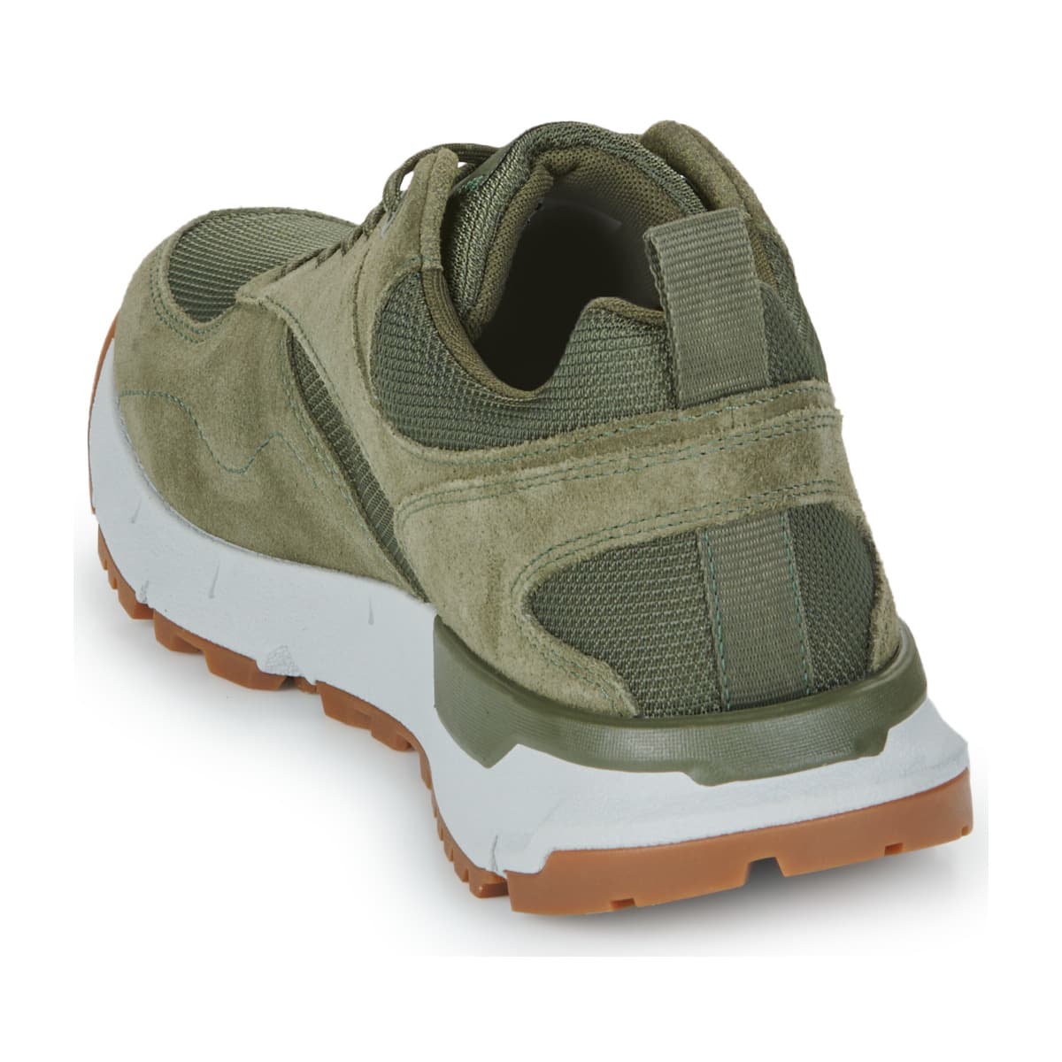 Men's Sneakers Timberland Green