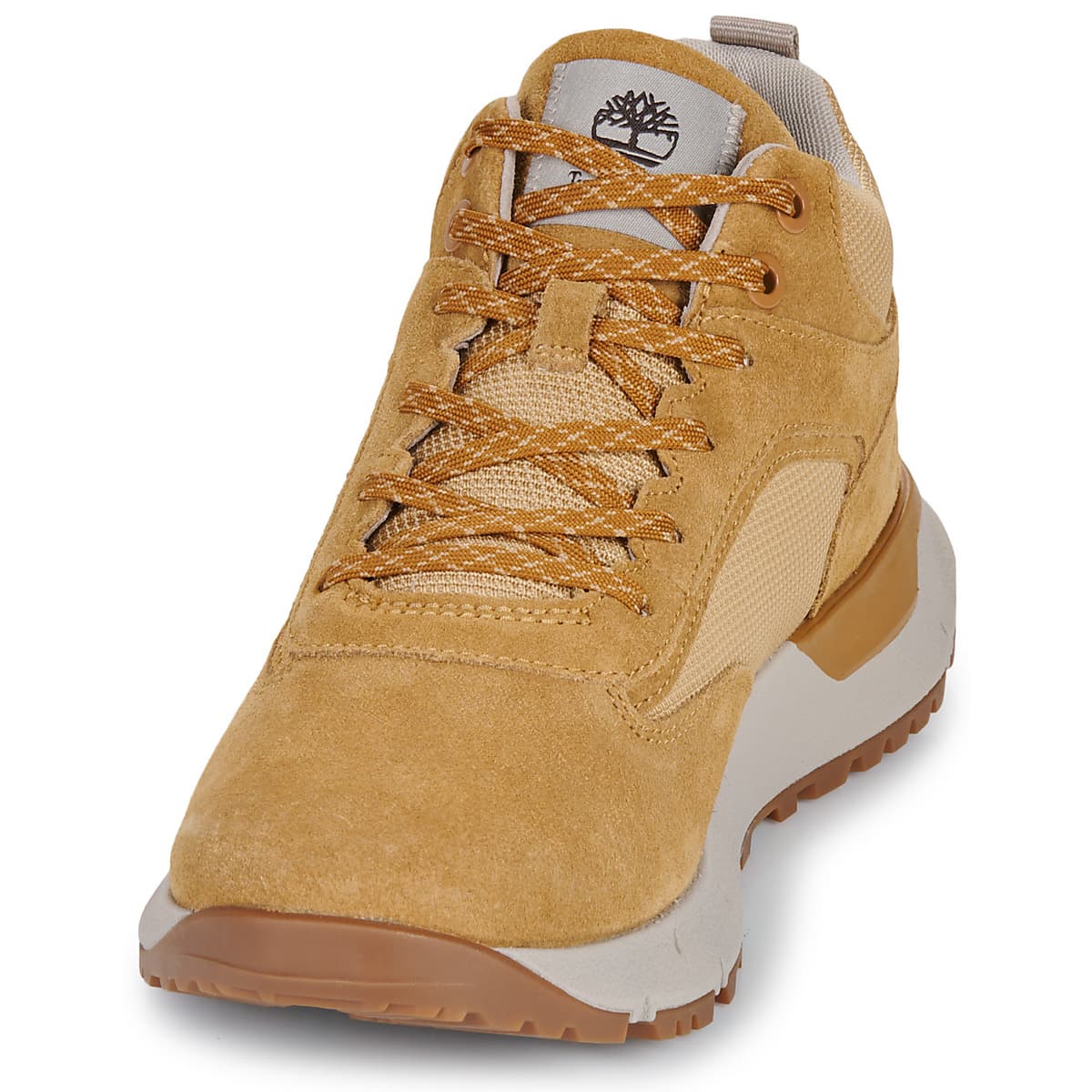 Men's Sneakers Timberland Brown