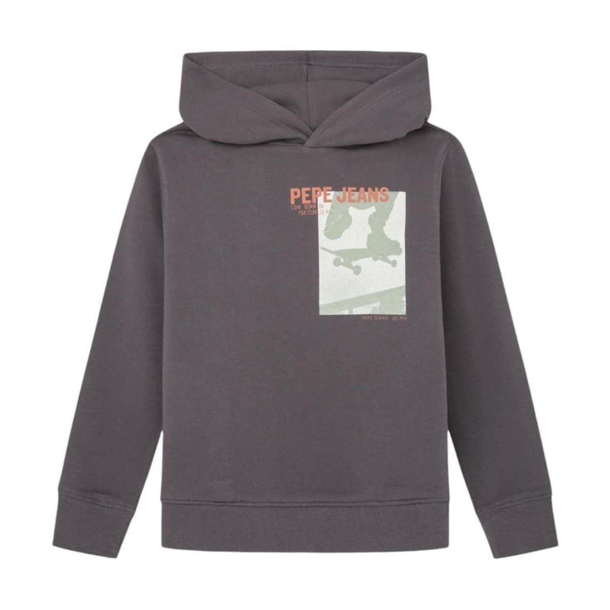 Boys' Hoodies & Sweatshirts Pepe Jeans Gray