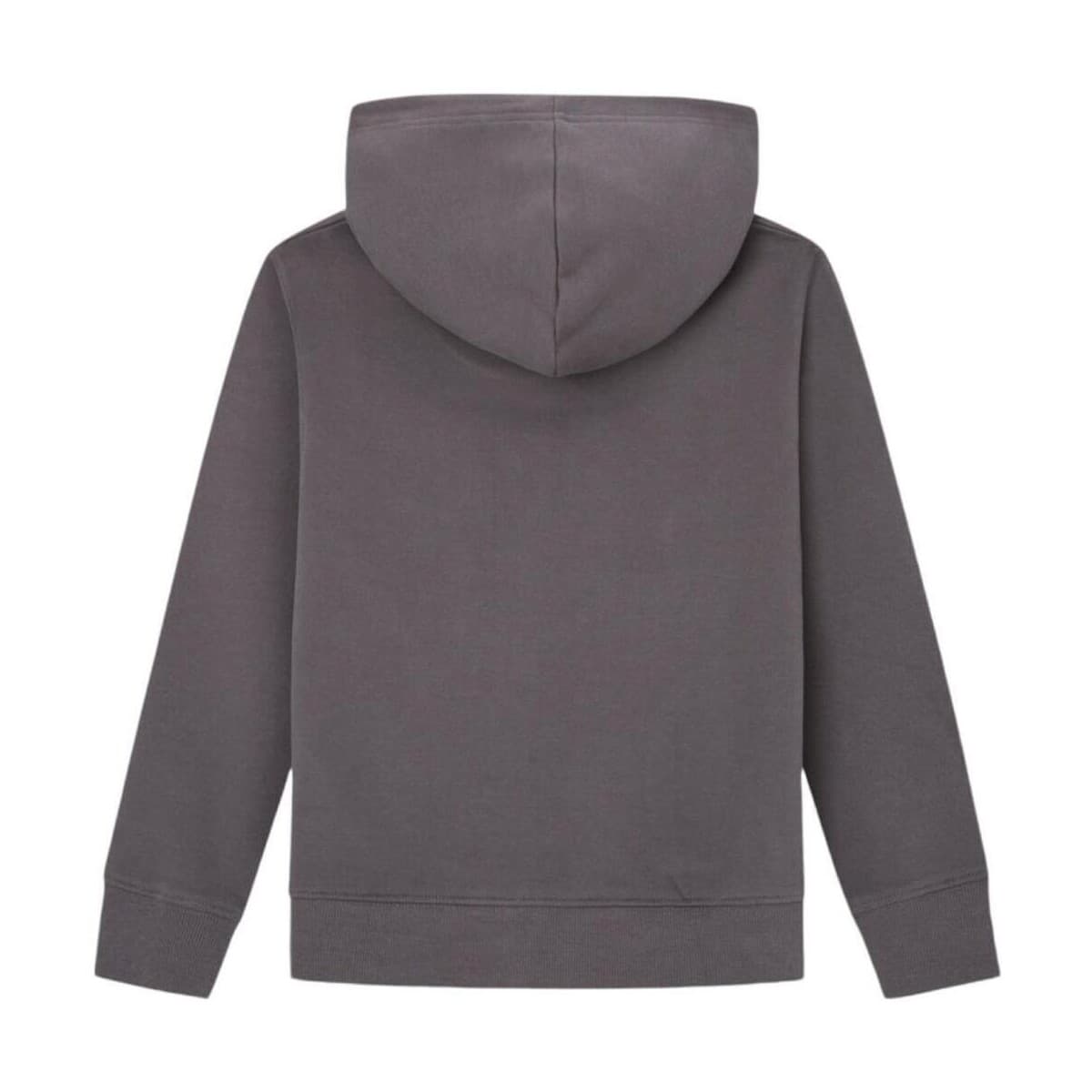 Boys' Hoodies & Sweatshirts Pepe Jeans Gray