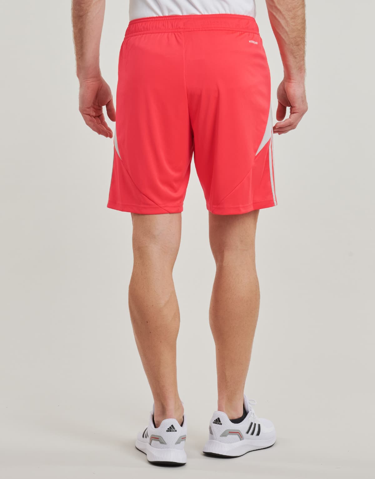 Men's Shorts adidas Red