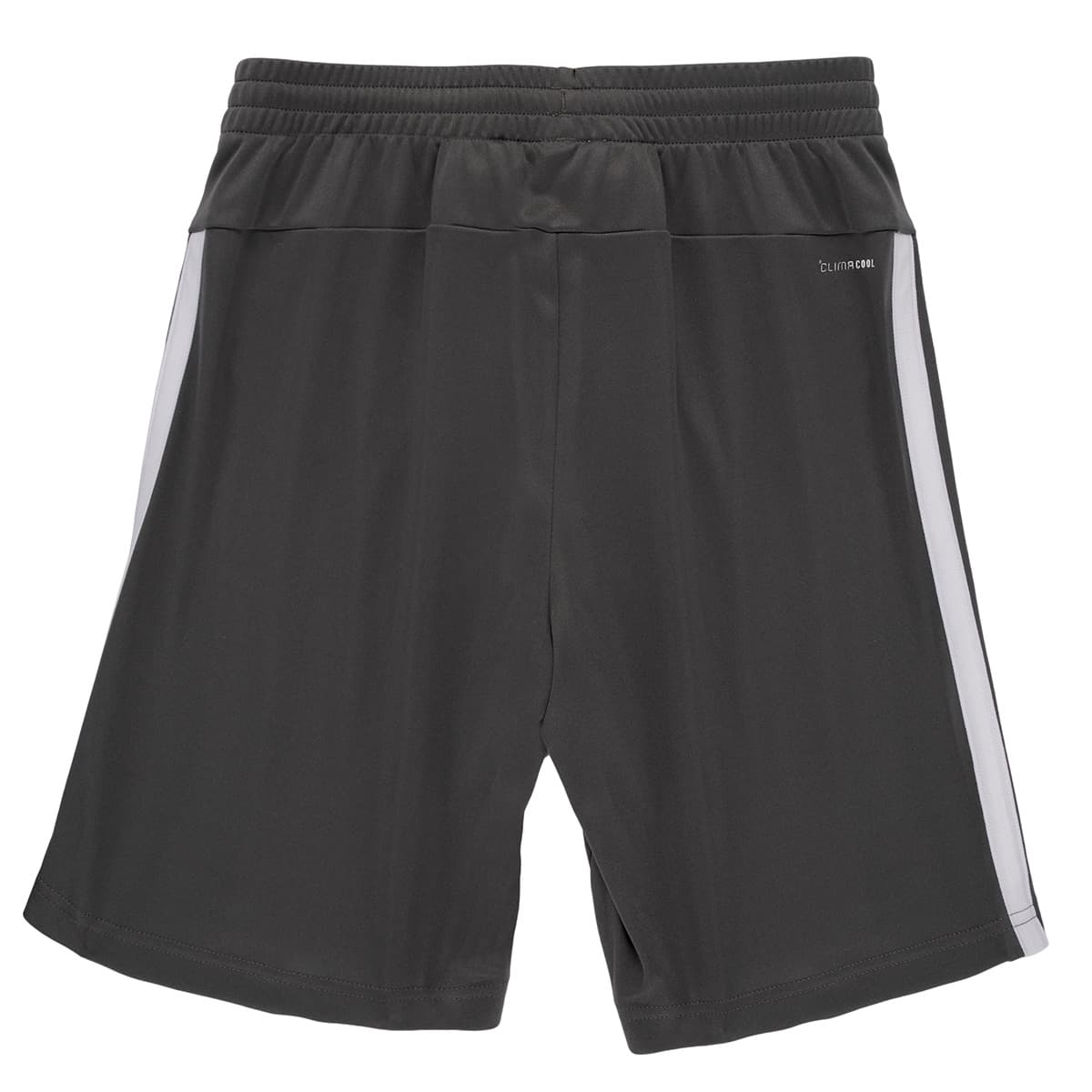 Boys' Shorts adidas Gray