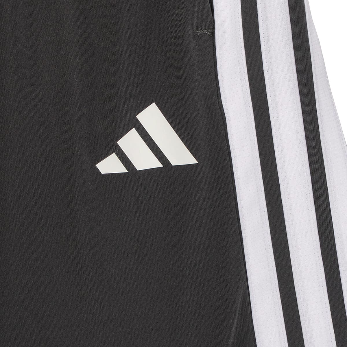 Boys' Shorts adidas Gray