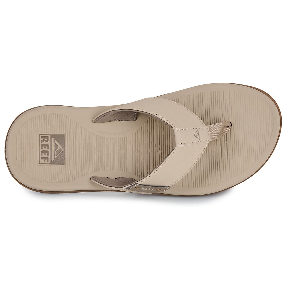 Men's Flip Flops Reef Beige