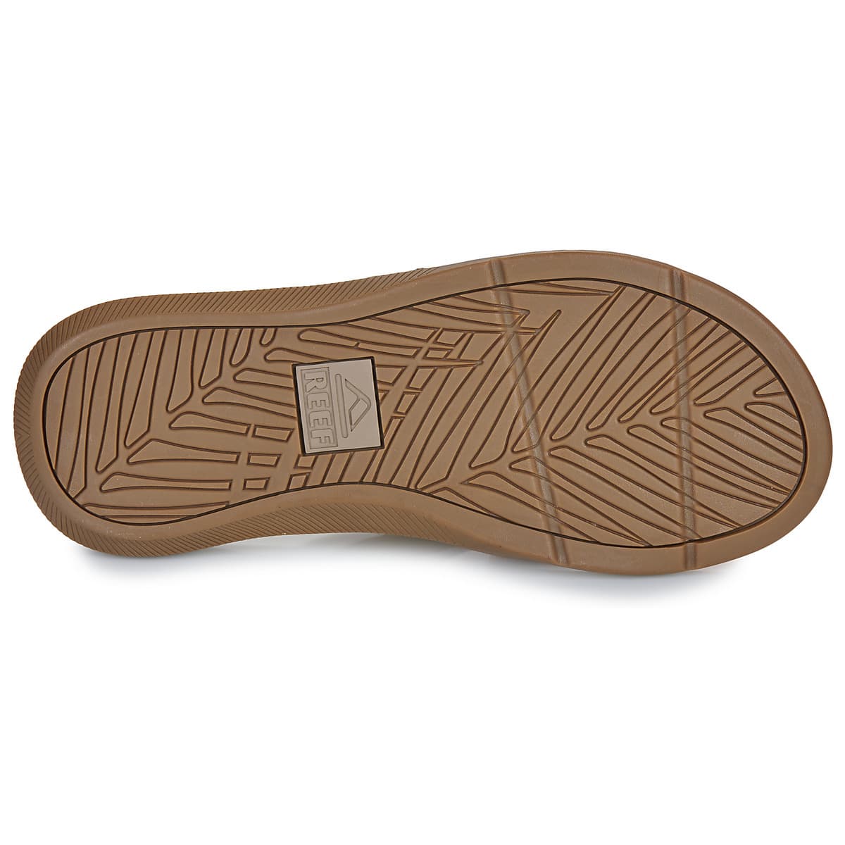 Men's Flip Flops Reef Beige