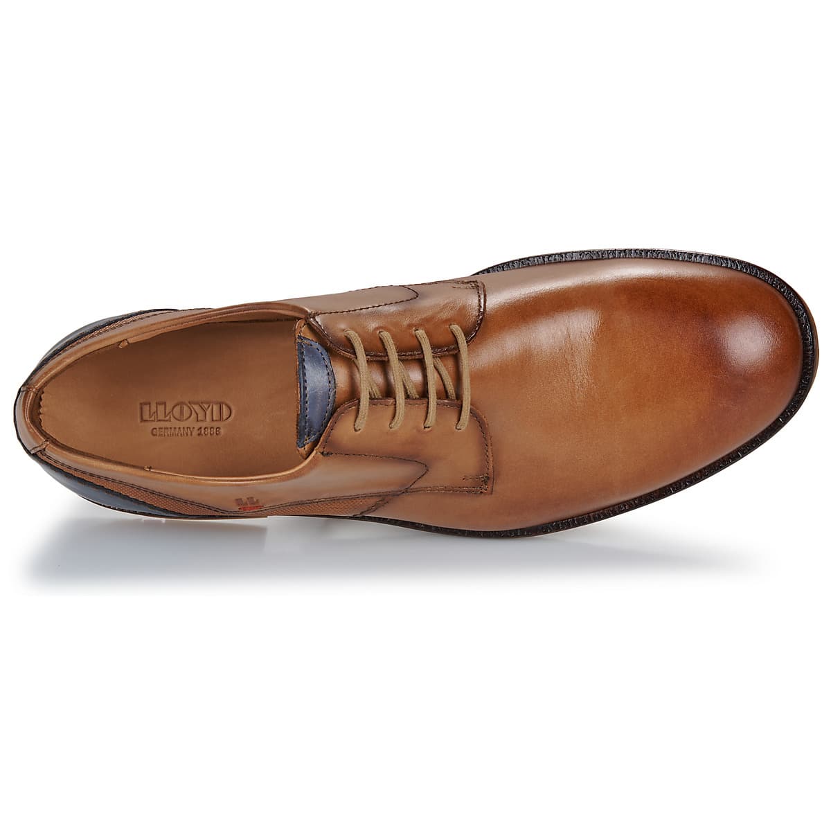 Men's Derby Shoes Lloyd Brown