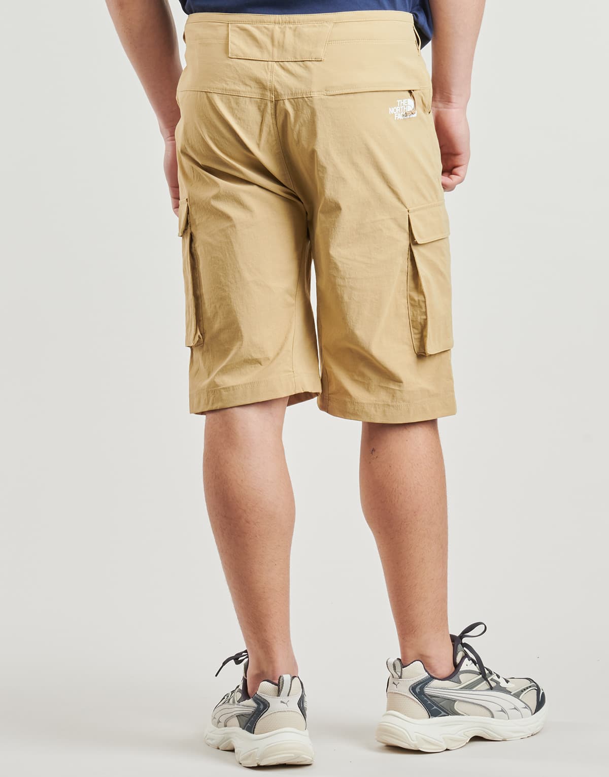 Men's Shorts The North Face Brown