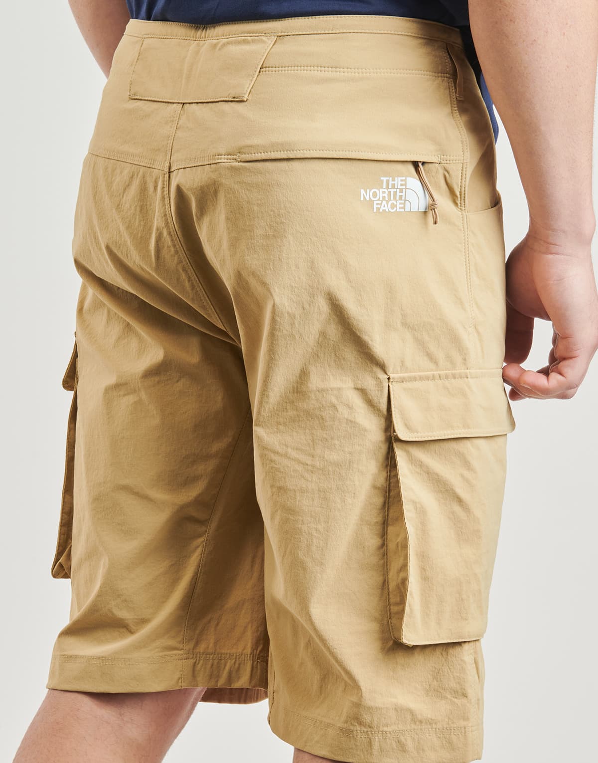 Men's Shorts The North Face Brown