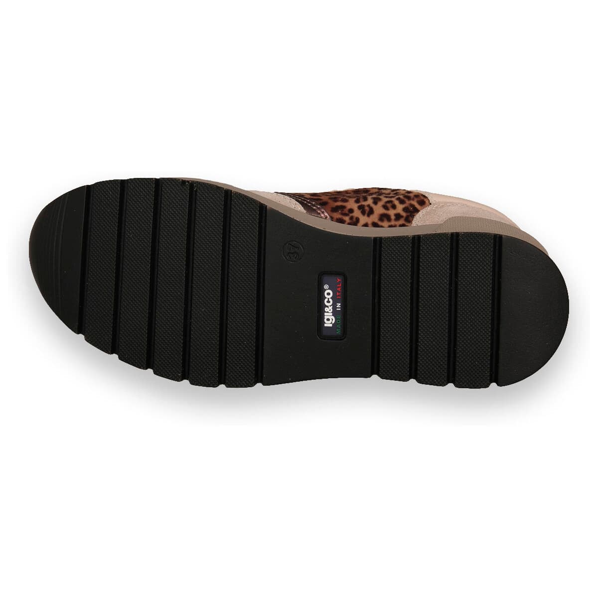 Women's Sneakers IgI&CO Brown