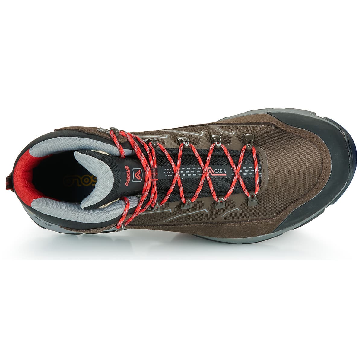 Men's Outdoor Shoes Asolo Brown