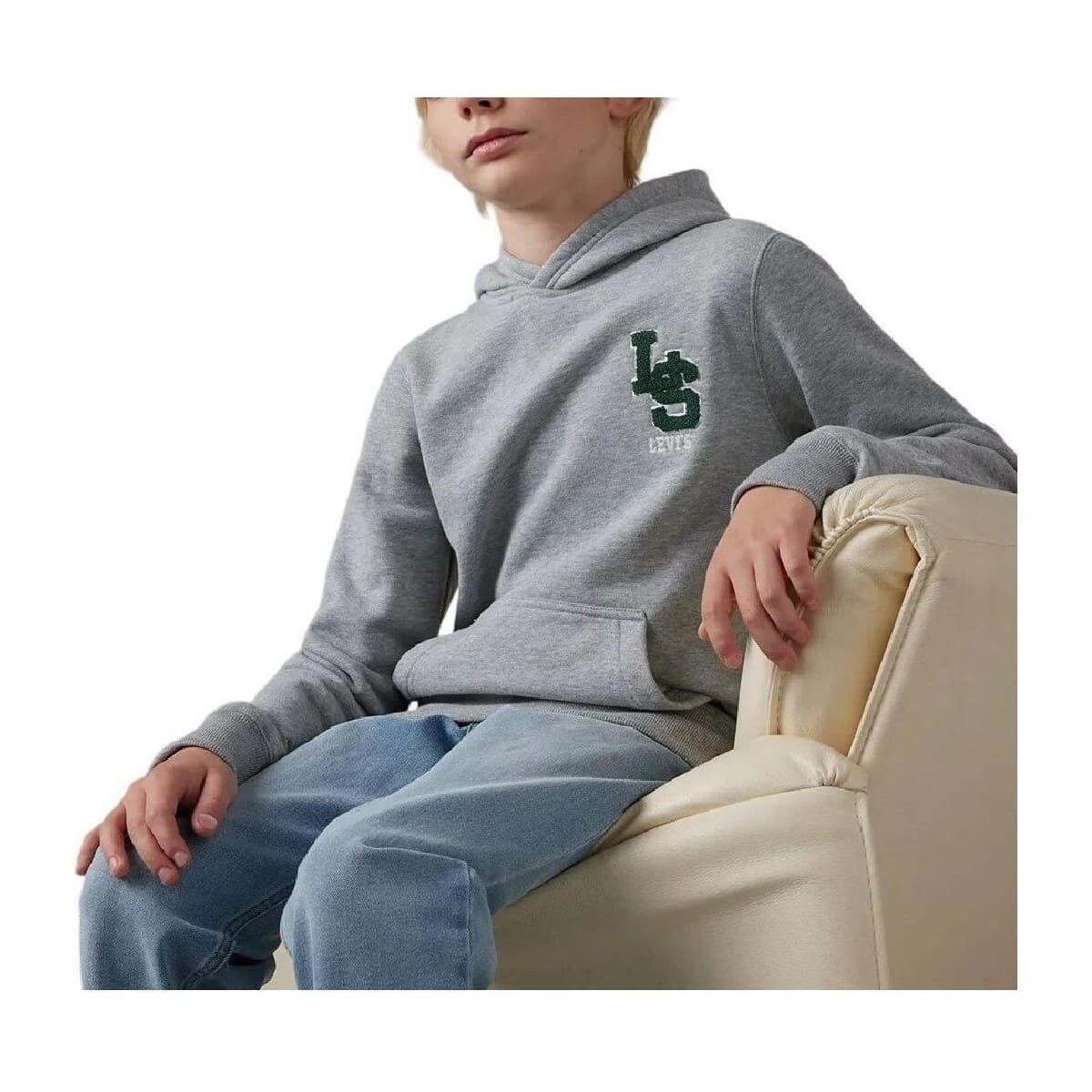 Boys' Hoodies & Sweatshirts Levis Gray