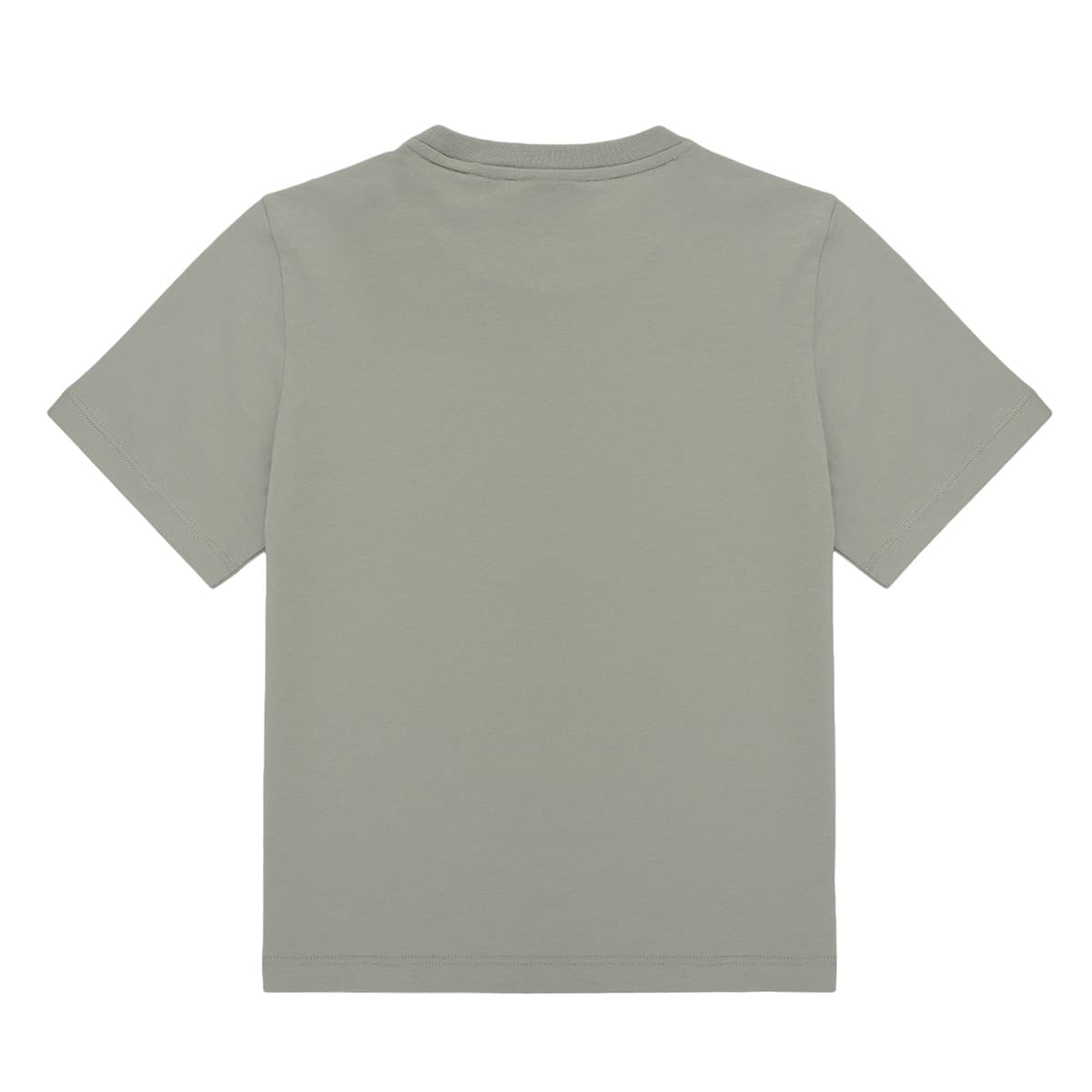 Boys' T-Shirts EA7 Khaki