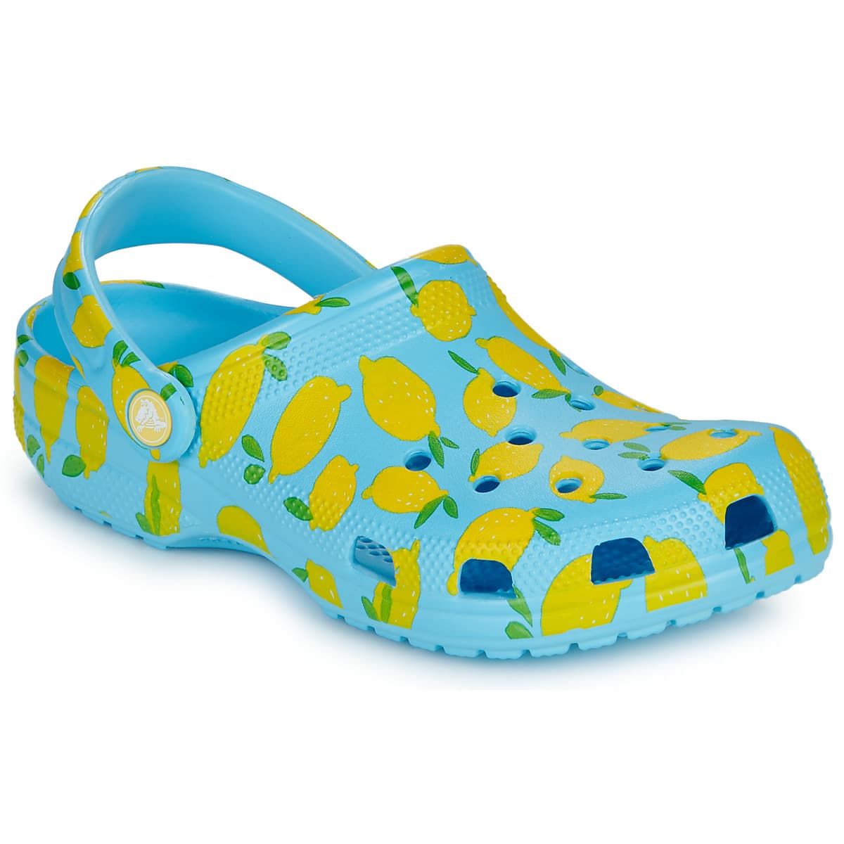 Women's Clogs Crocs Blue