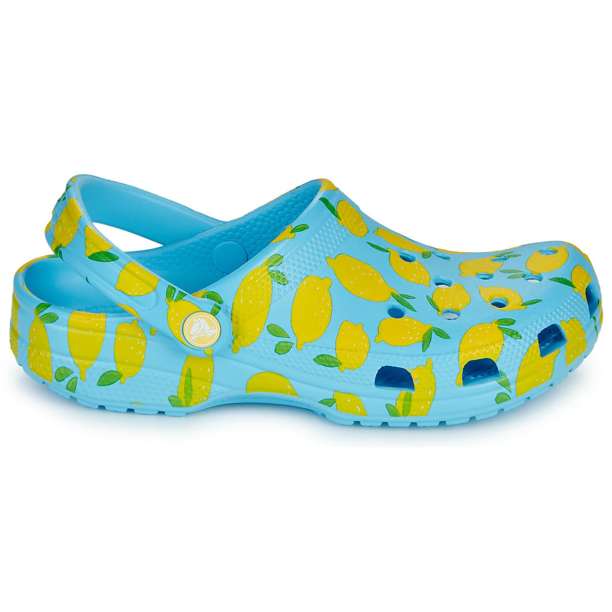 Women's Clogs Crocs Blue