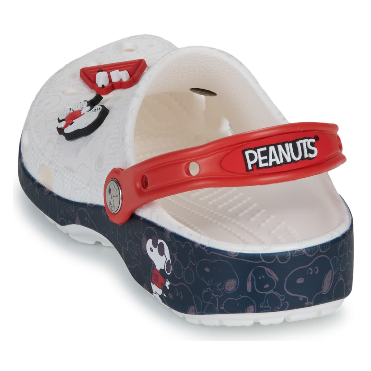 Men's Clogs Crocs Multicolor