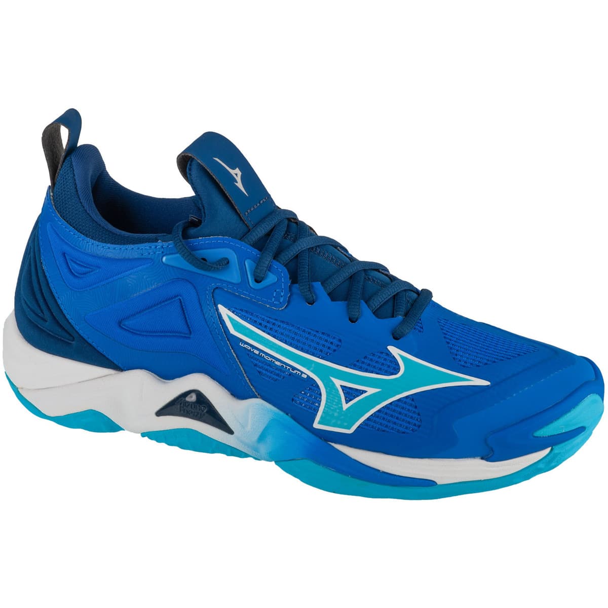 Men's Gym Shoes Mizuno Blue