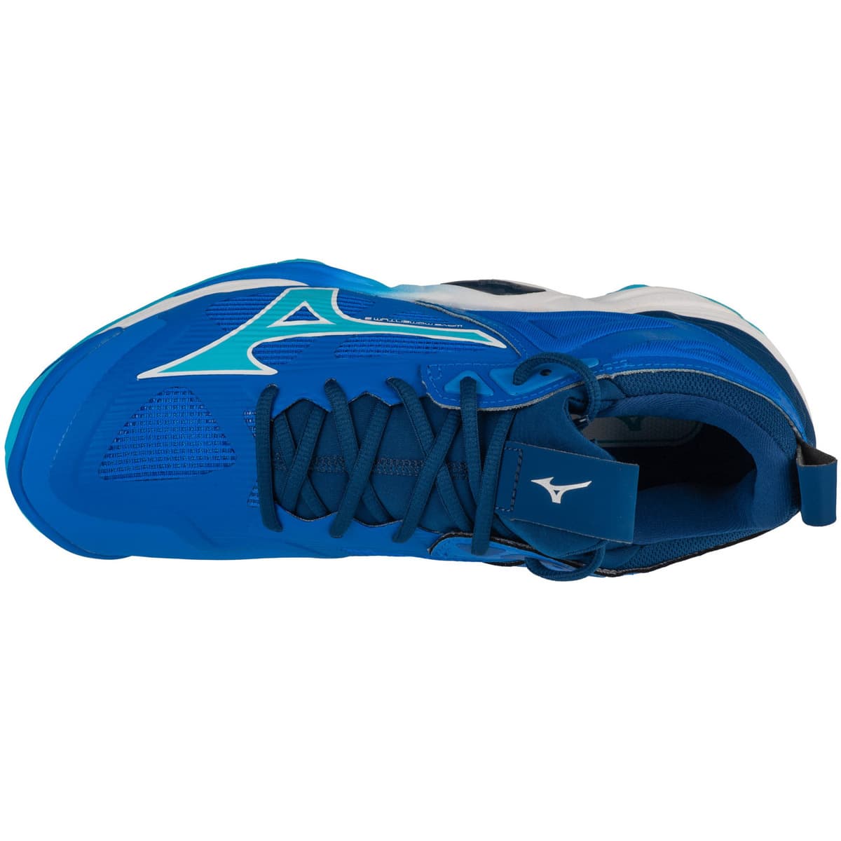 Men's Gym Shoes Mizuno Blue