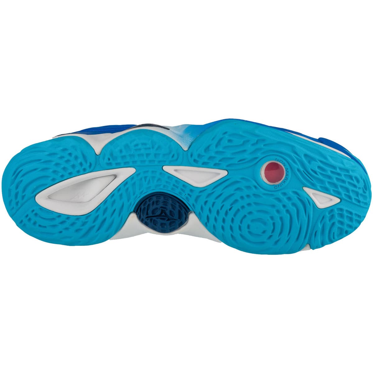 Men's Gym Shoes Mizuno Blue