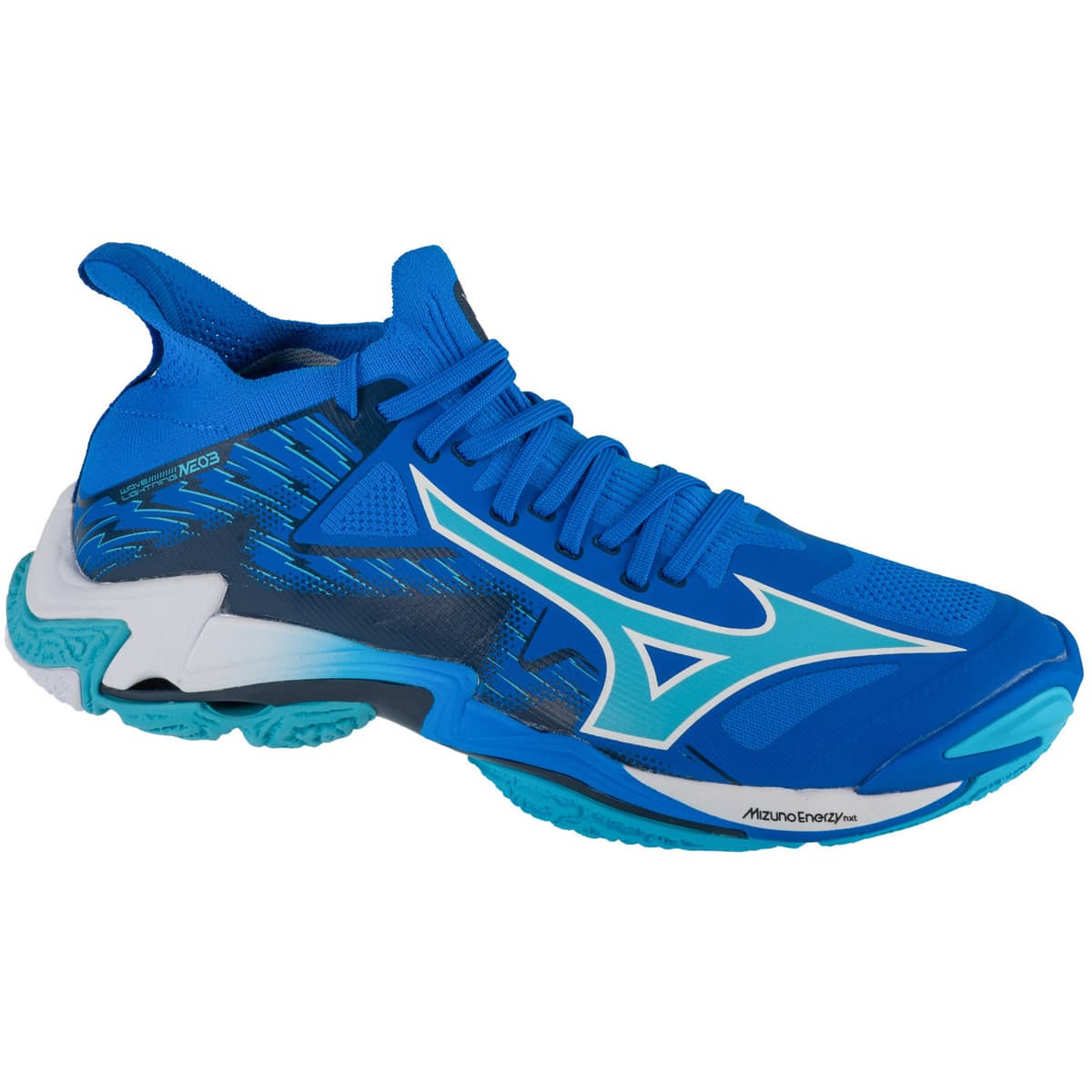 Men's Gym Shoes Mizuno Blue