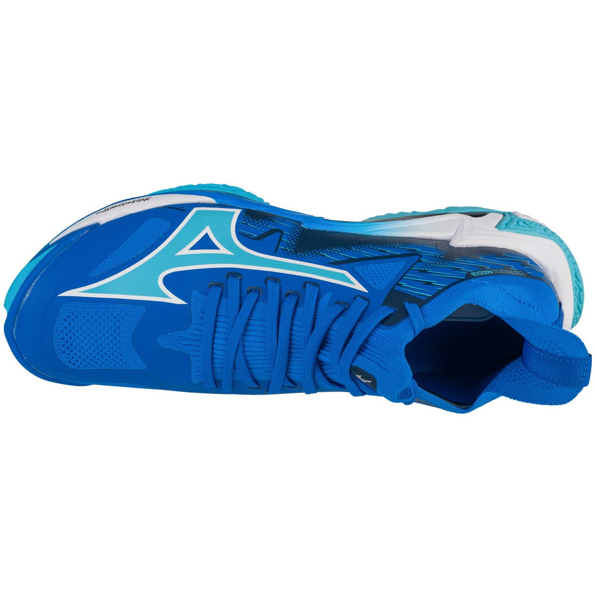 Men's Gym Shoes Mizuno Blue