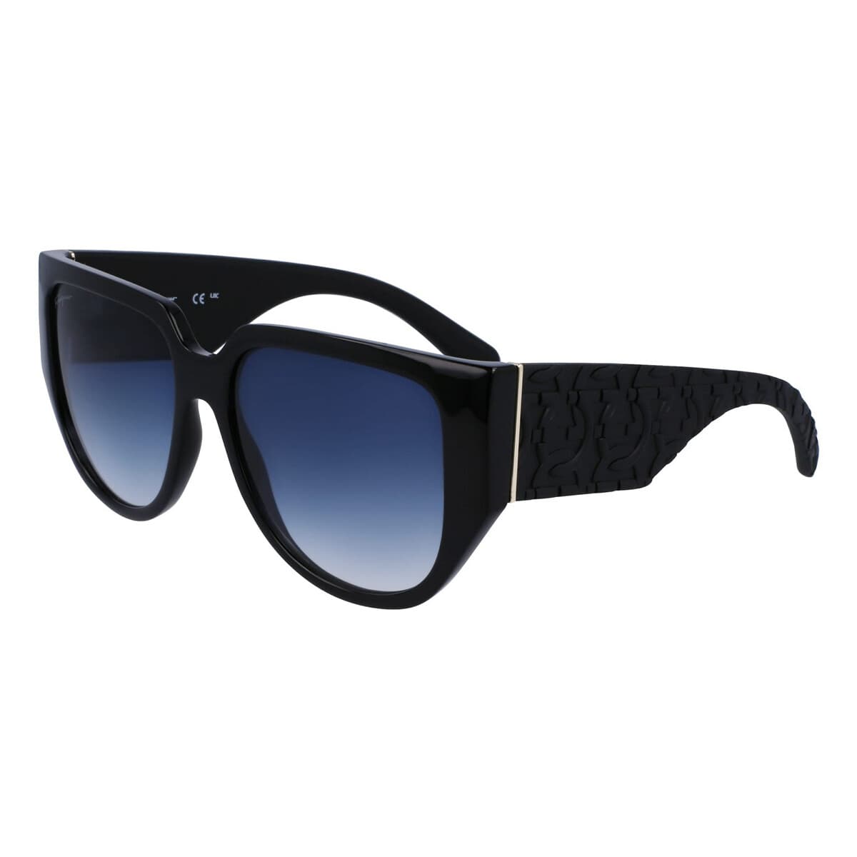 Women's Sunglasses Salvatore Ferragamo Black