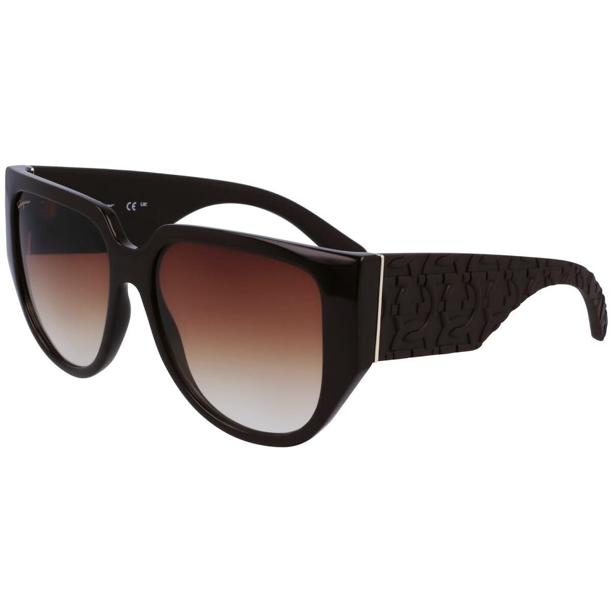 Women's Sunglasses Salvatore Ferragamo Brown