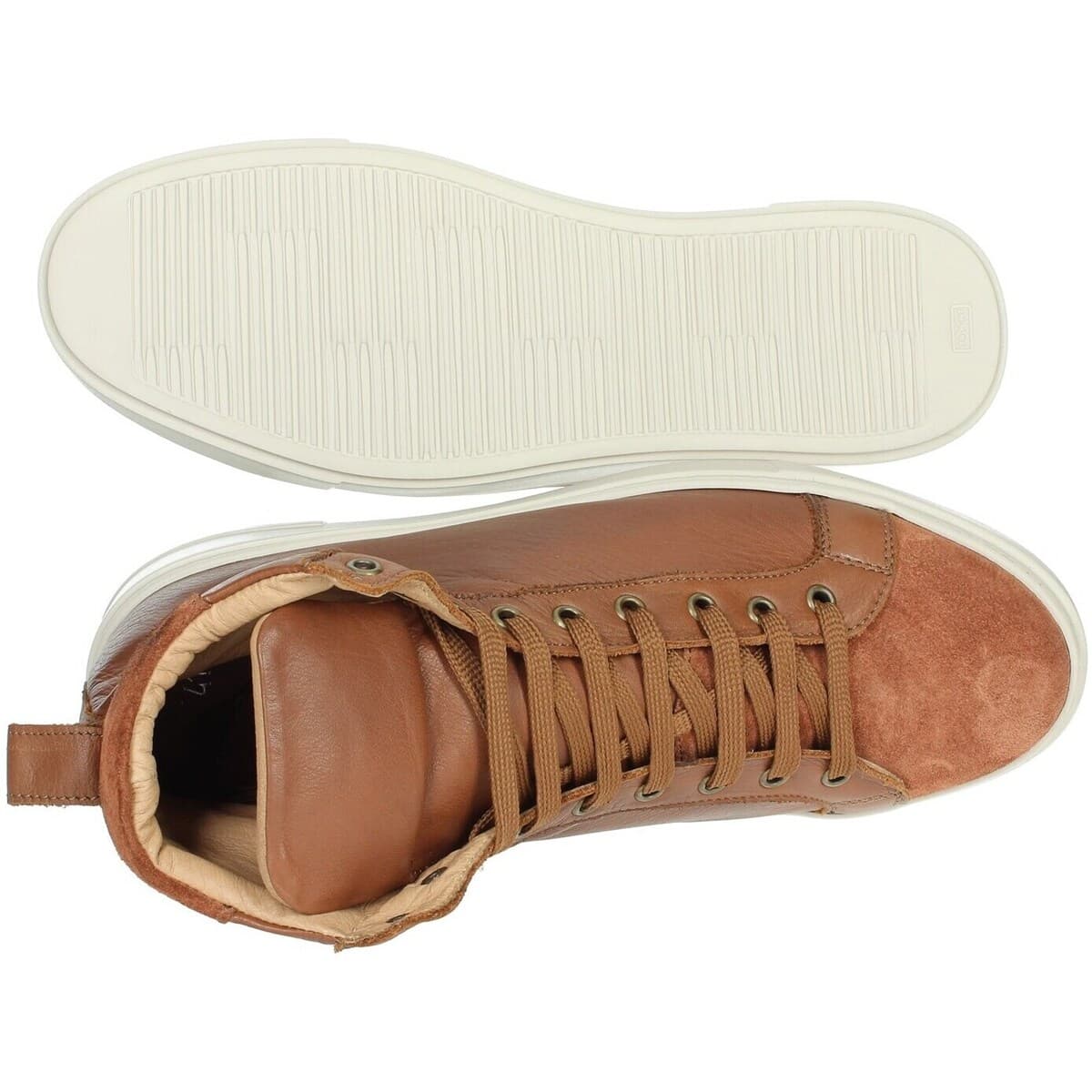 Men's Sneakers Antony Sander