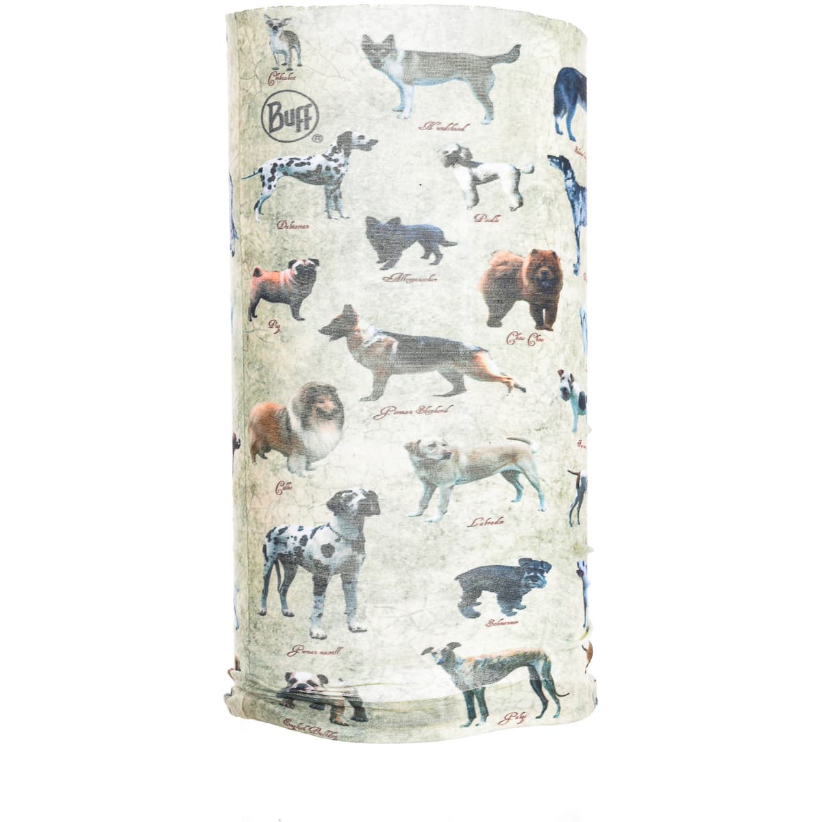 Women's Scarves Buff Multicolor