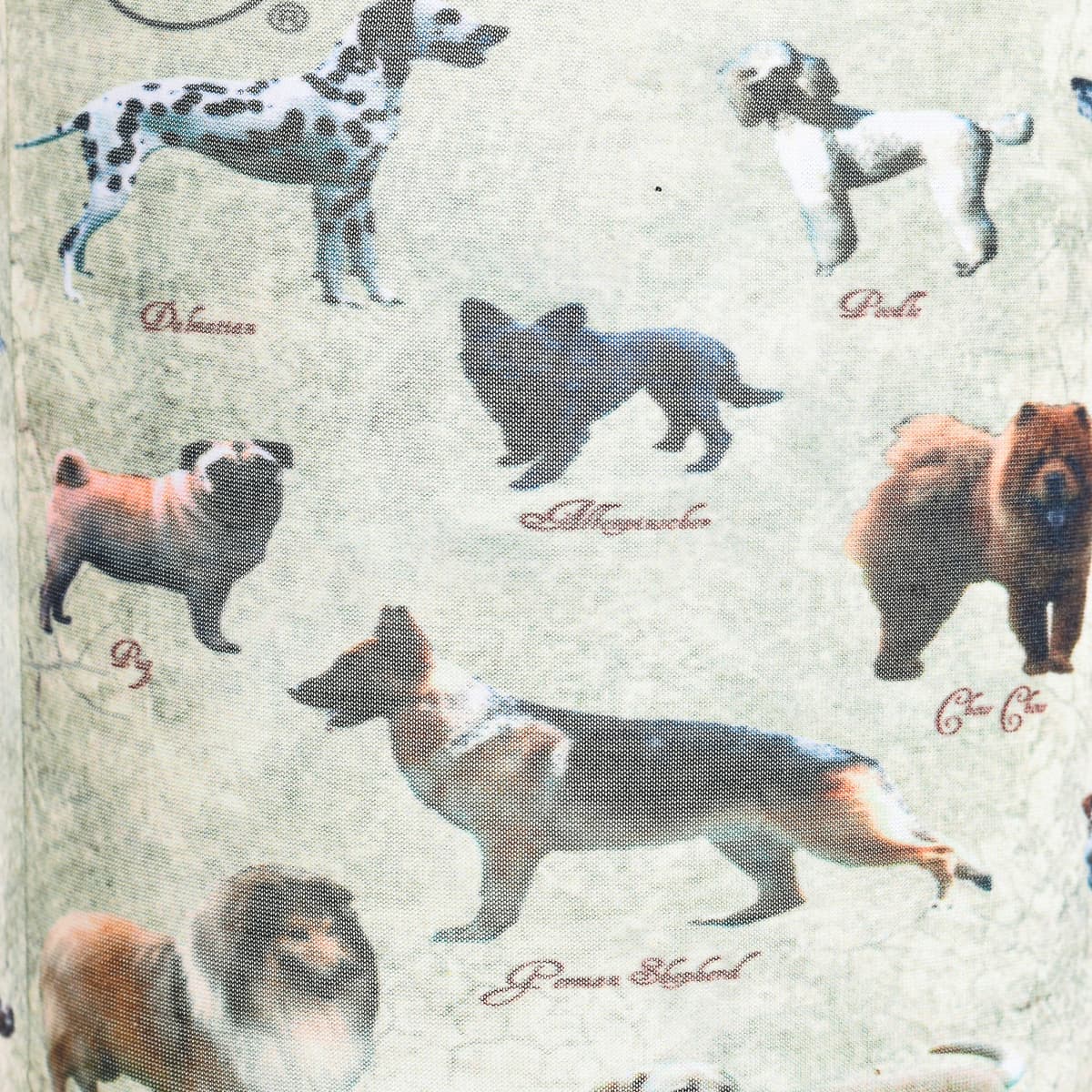 Women's Scarves Buff Multicolor