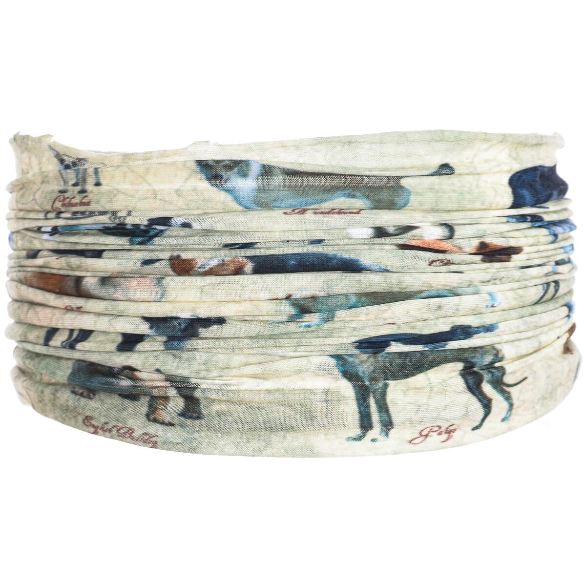 Women's Scarves Buff Multicolor