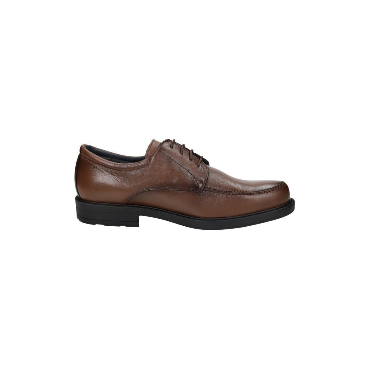Oxfords Baerchi -