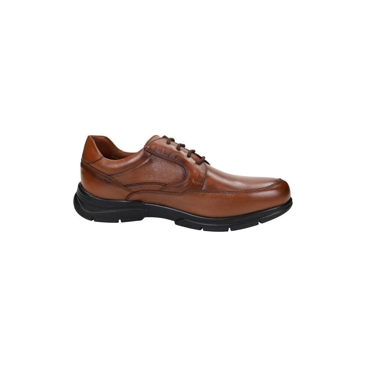 Oxfords Baerchi -