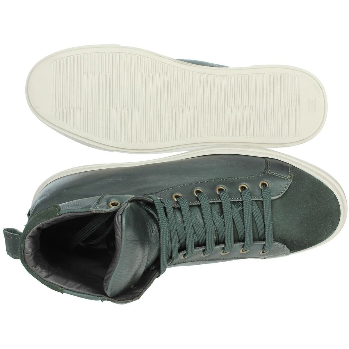 Men's Sneakers Antony Sander Green