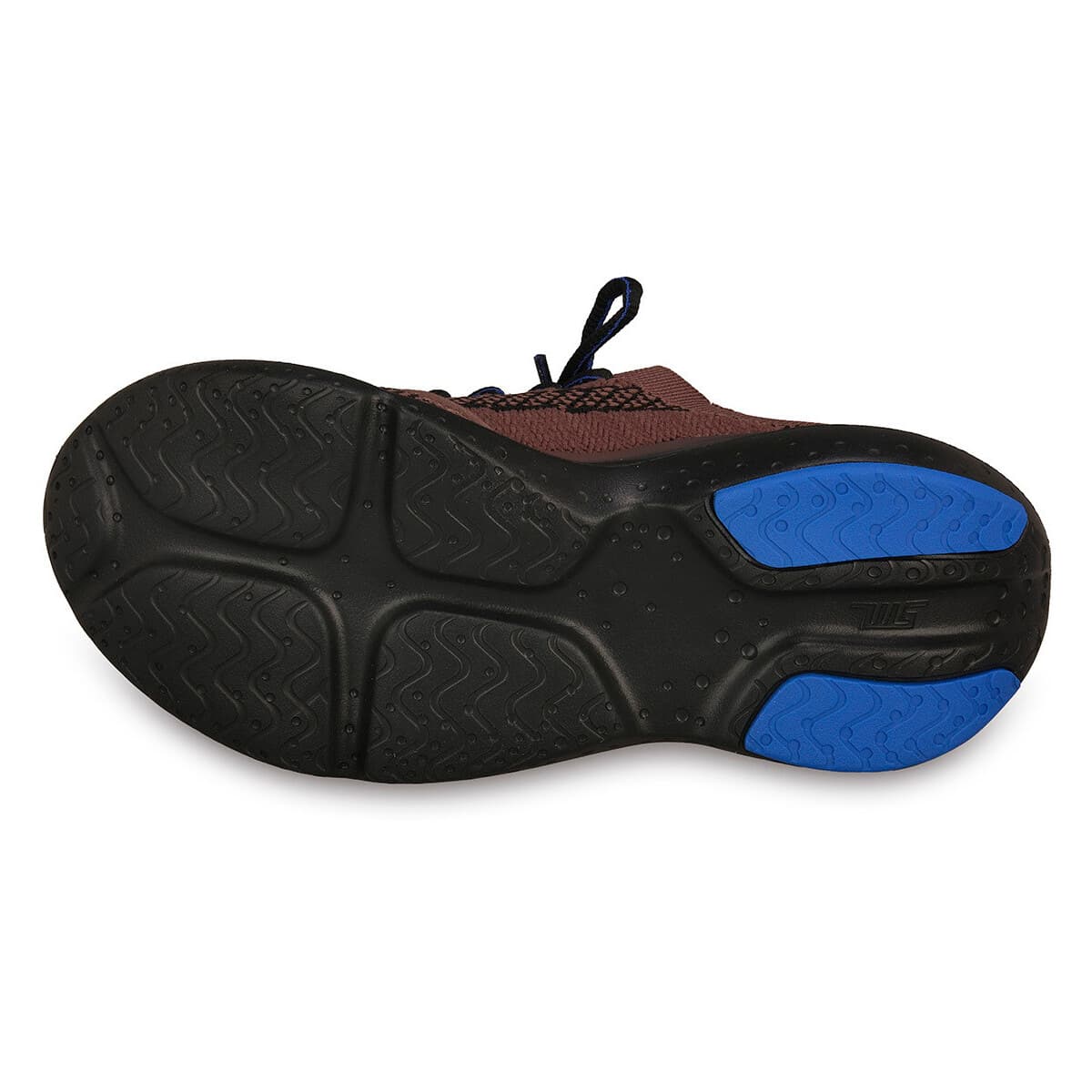 Women's Sneakers Steve Madden Brown