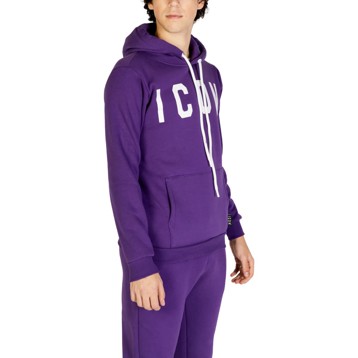 Men's Sweatshirts Icon Purple