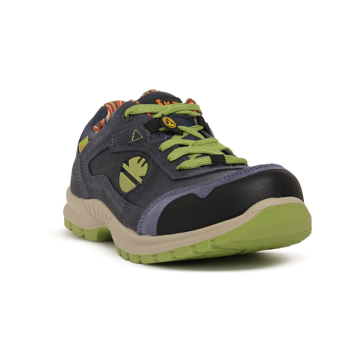 Men's Shoes Dike Blue