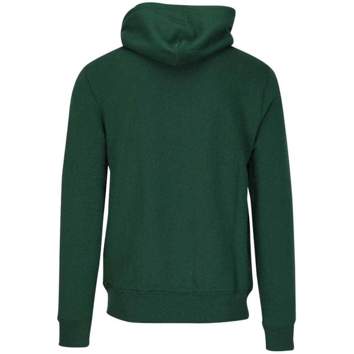 Boys' Hoodies & Sweatshirts Polo Ralph Lauren Green