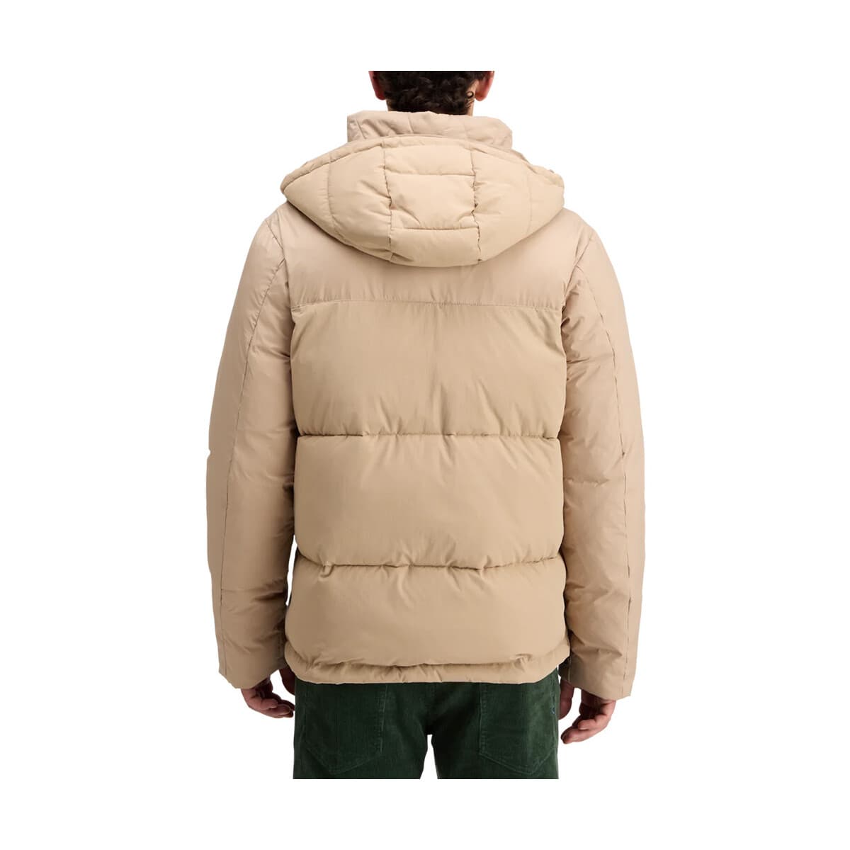 Men's Jackets Scotch & Soda Multicolor