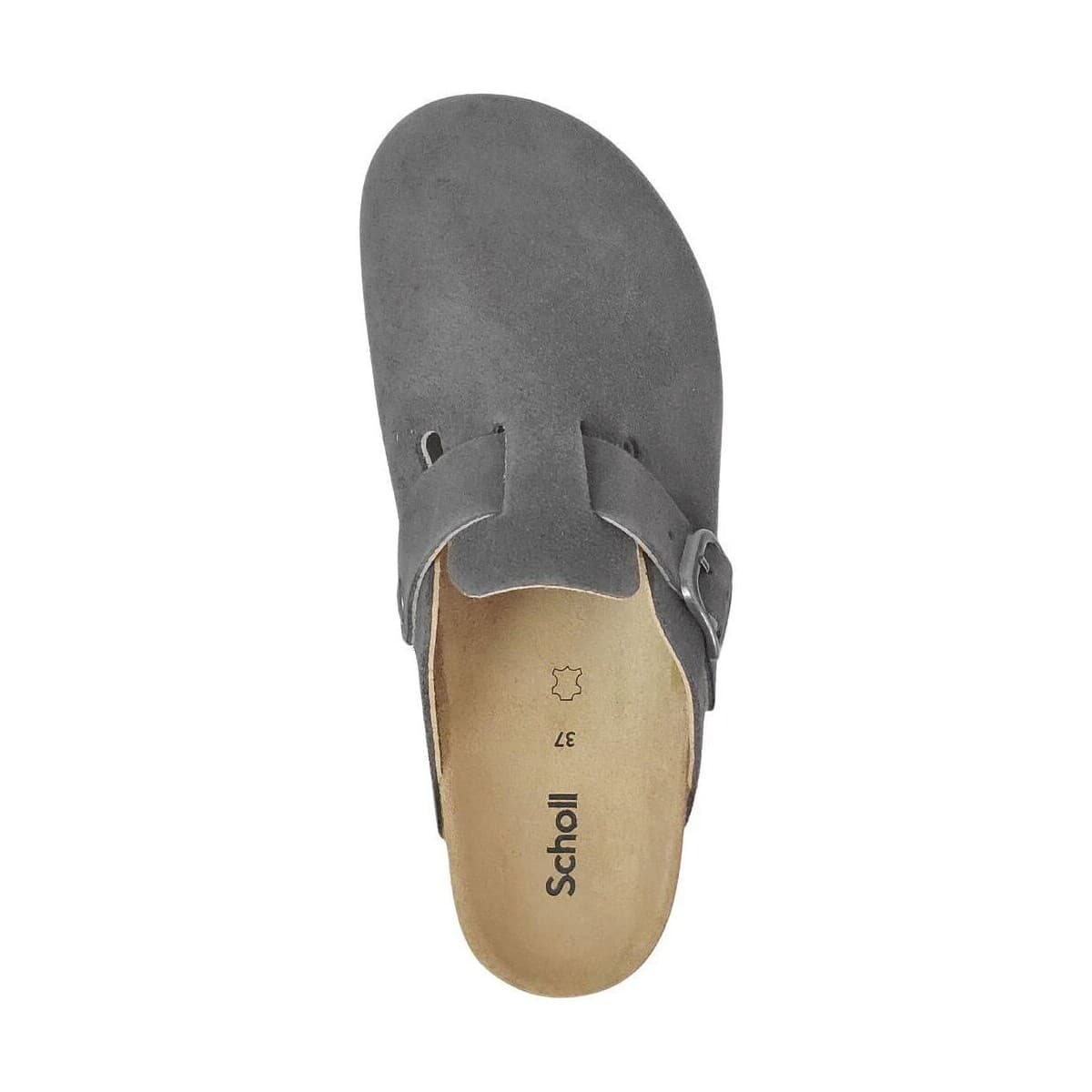 Women's Clogs Scholl Gray