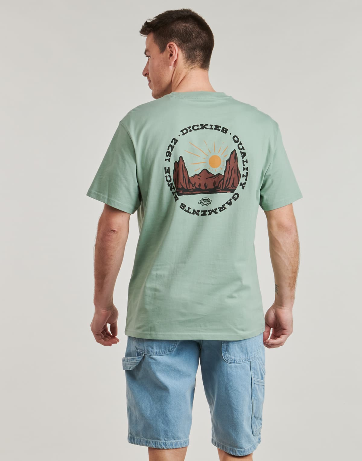 Men's T-Shirts Dickies Green