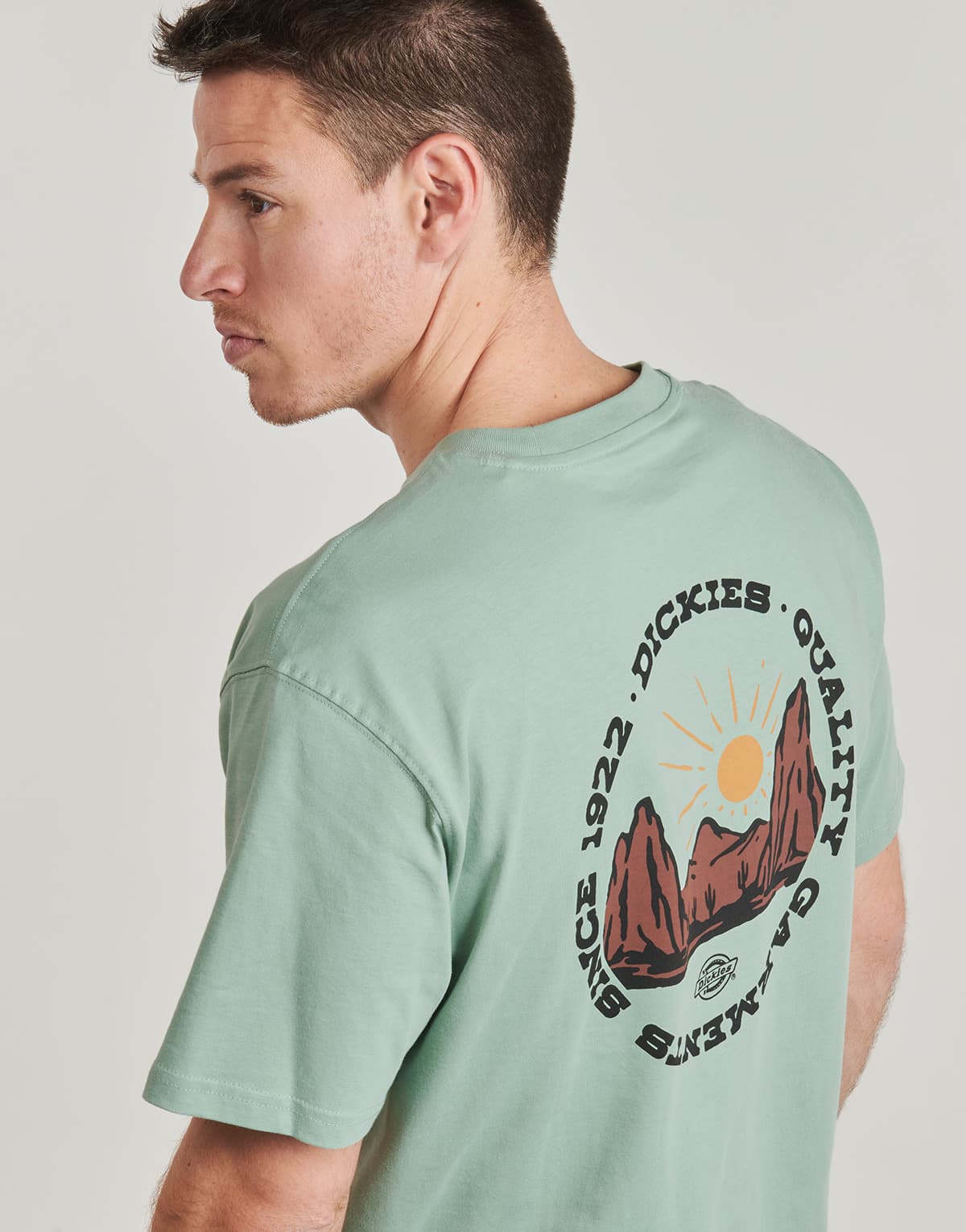 Men's T-Shirts Dickies Green