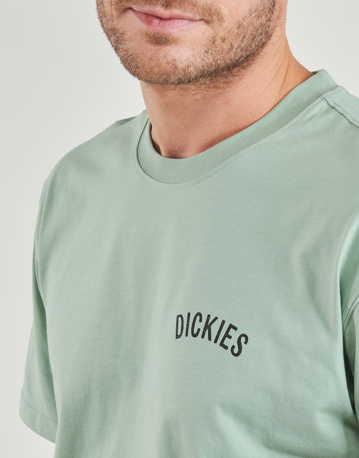 Men's T-Shirts Dickies Green